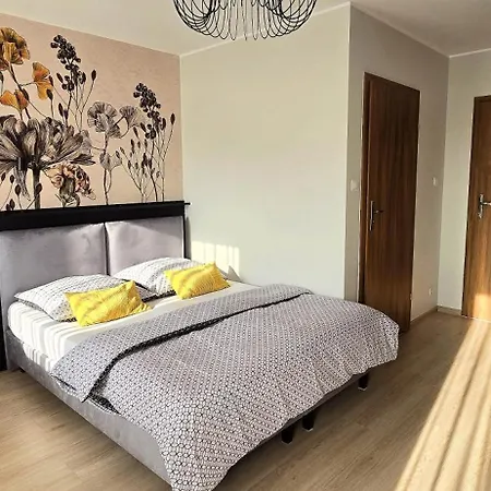 Vertus Jastrzębia Góra