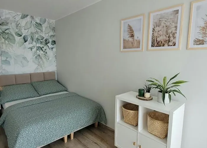 Vertus Jastrzębia Góra